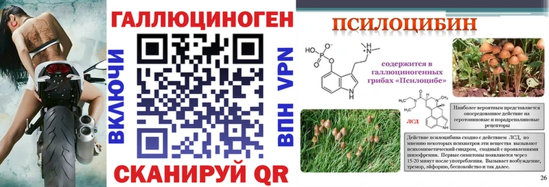 Галлюциногенные грибы мицелий  Купить где  Бузулук 